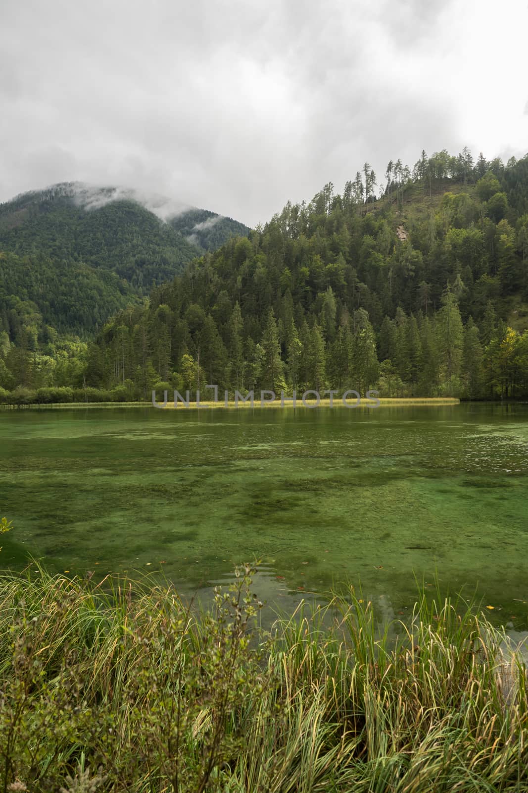 Schiederweiher, beautiful lake in Austria near Hinterstoder