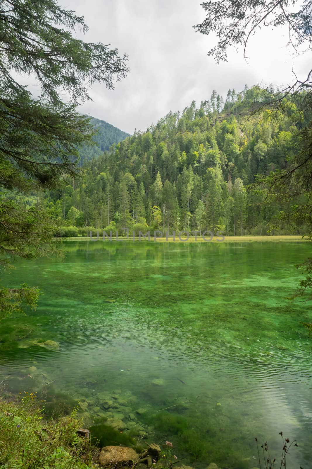 Schiederweiher, beautiful lake in Austria near Hinterstoder by sandra_fotodesign