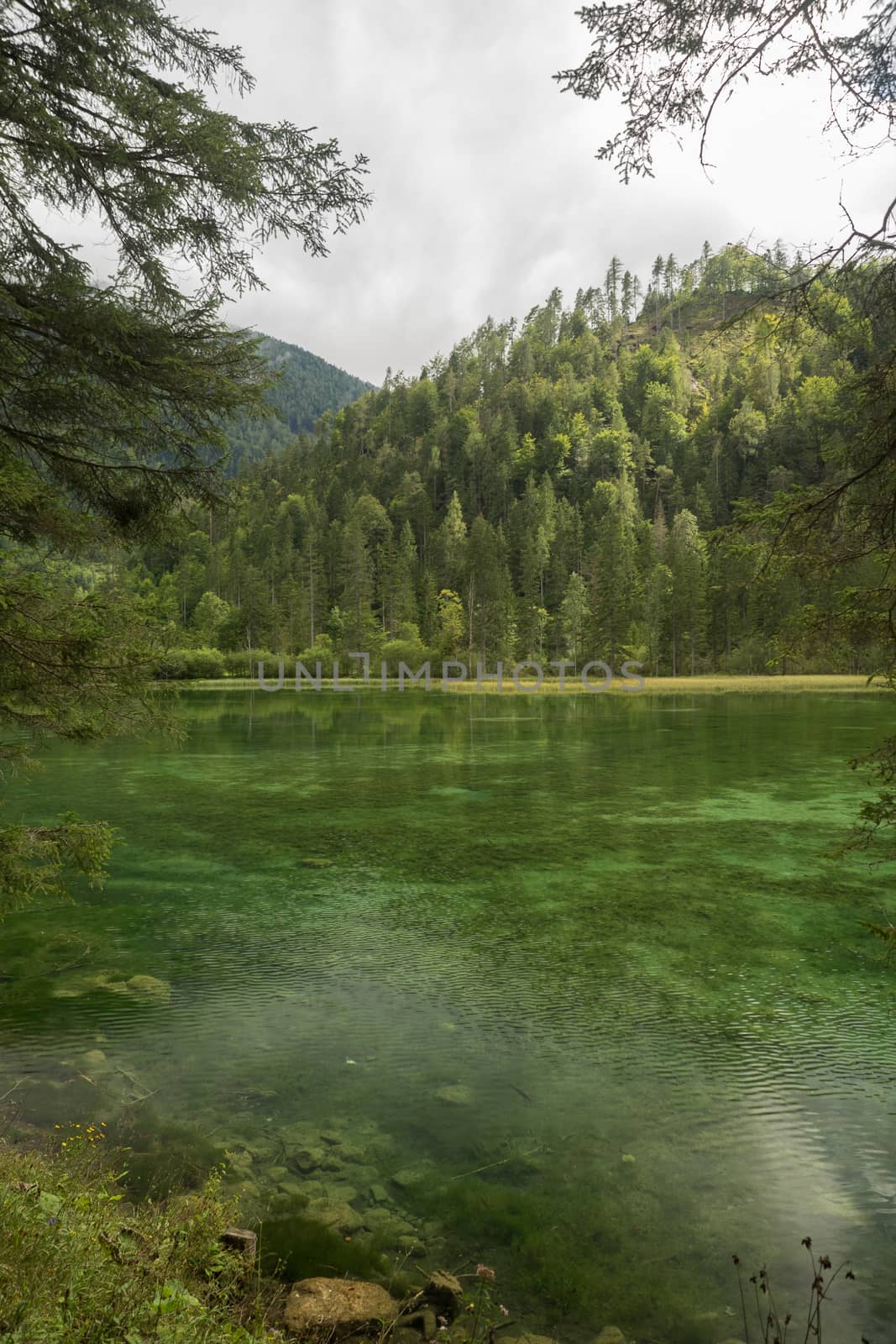 Schiederweiher, beautiful lake in Austria near Hinterstoder