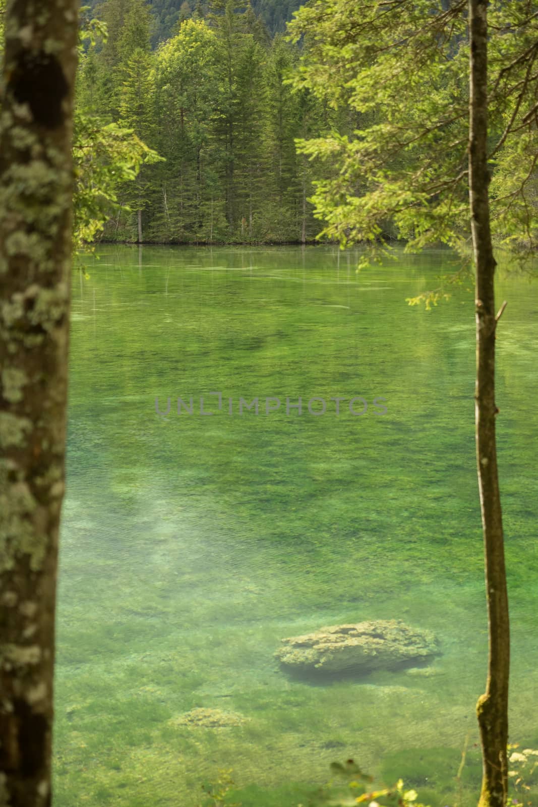 Schiederweiher, beautiful lake in Austria near Hinterstoder