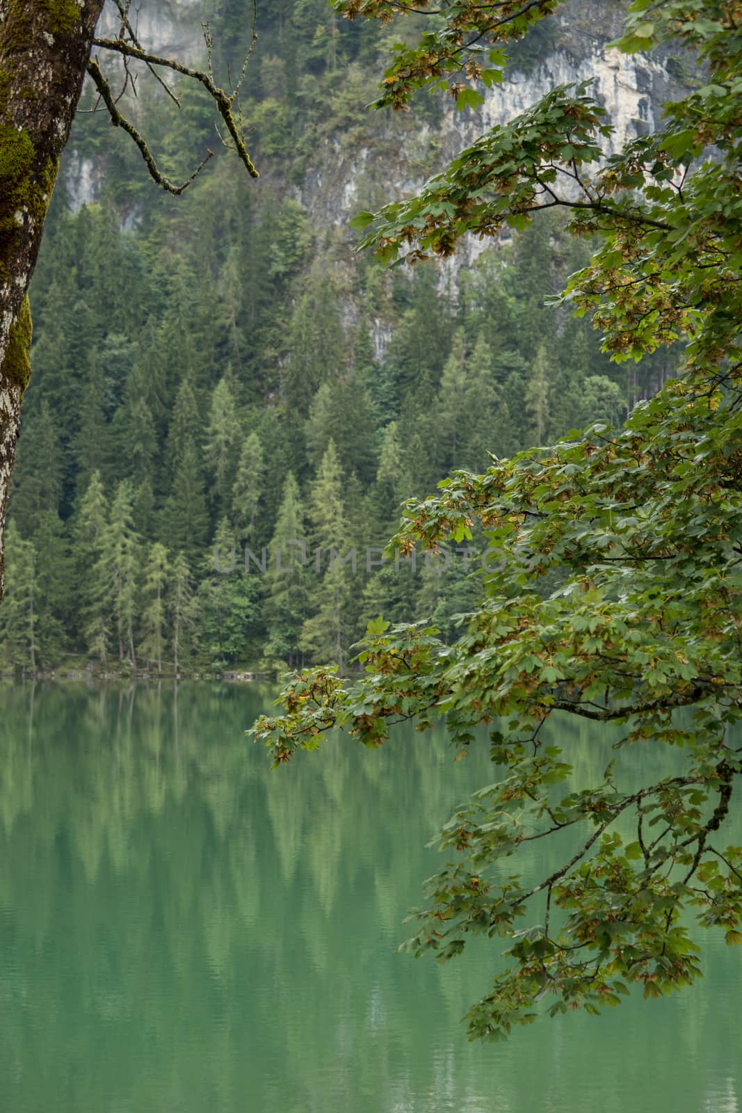 Nature lake shot at the Gleinkersee in Austria