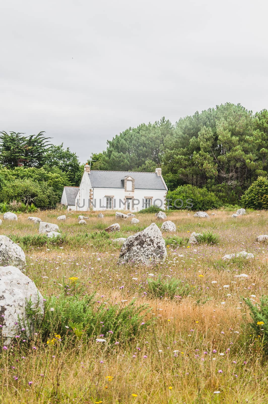 Menhir fields in Carnac in the morbihan in brittany, France