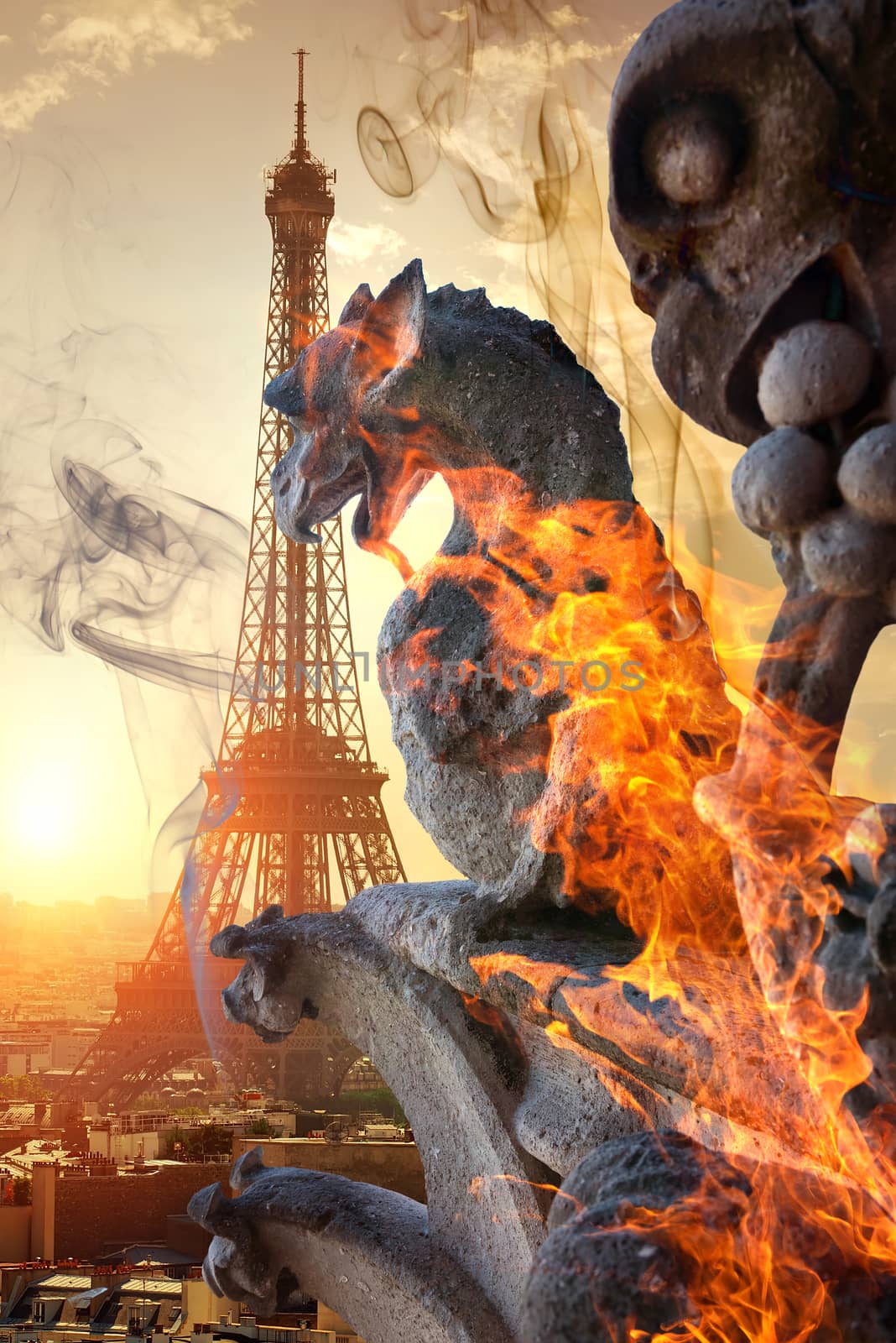 Chimeras in fire on Notre Dame de Paris