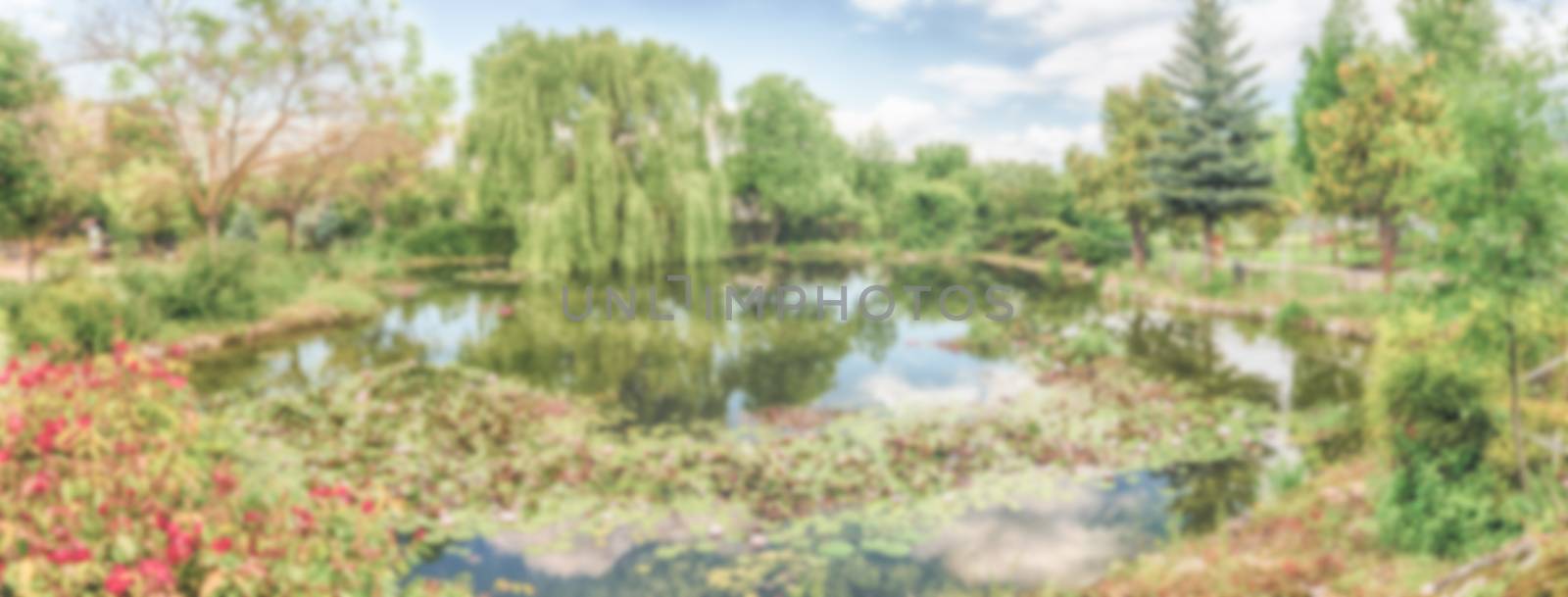 Defocused background with an idillic small pond in the forest. Intentionally blurred post production for bokeh effect