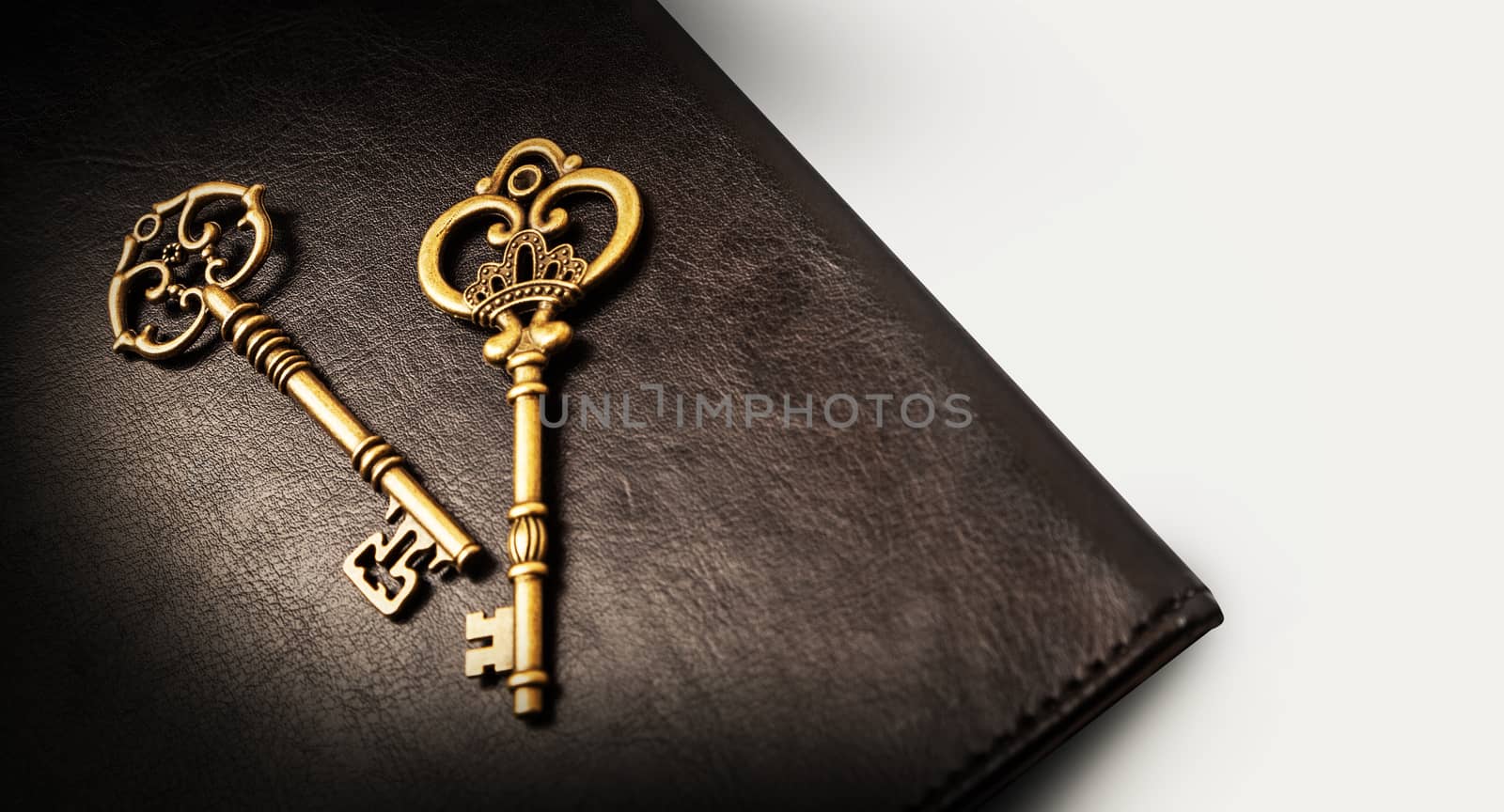 Old keys on the dark background of the skin