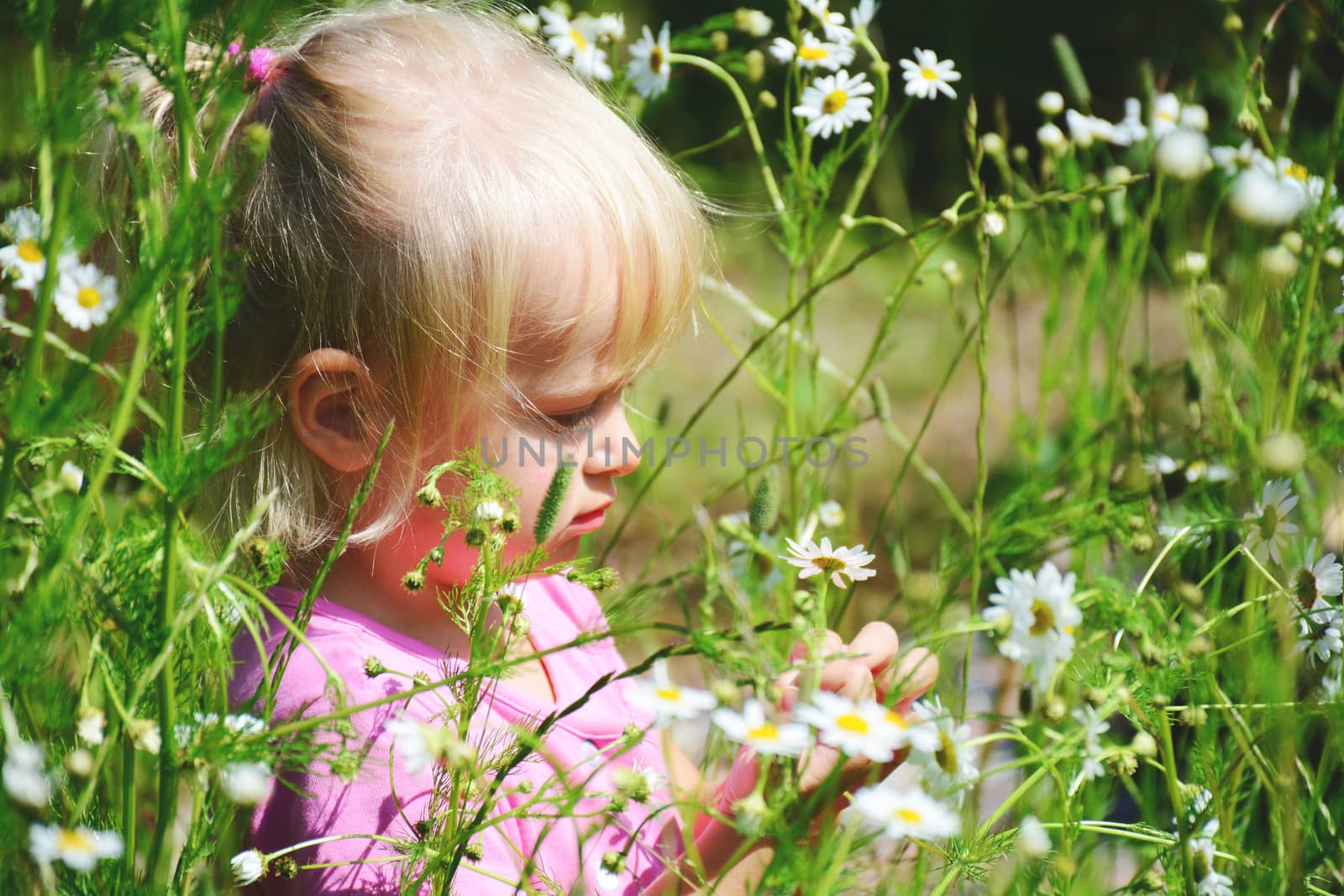 cute little smiling girl in the chamomile field in spring