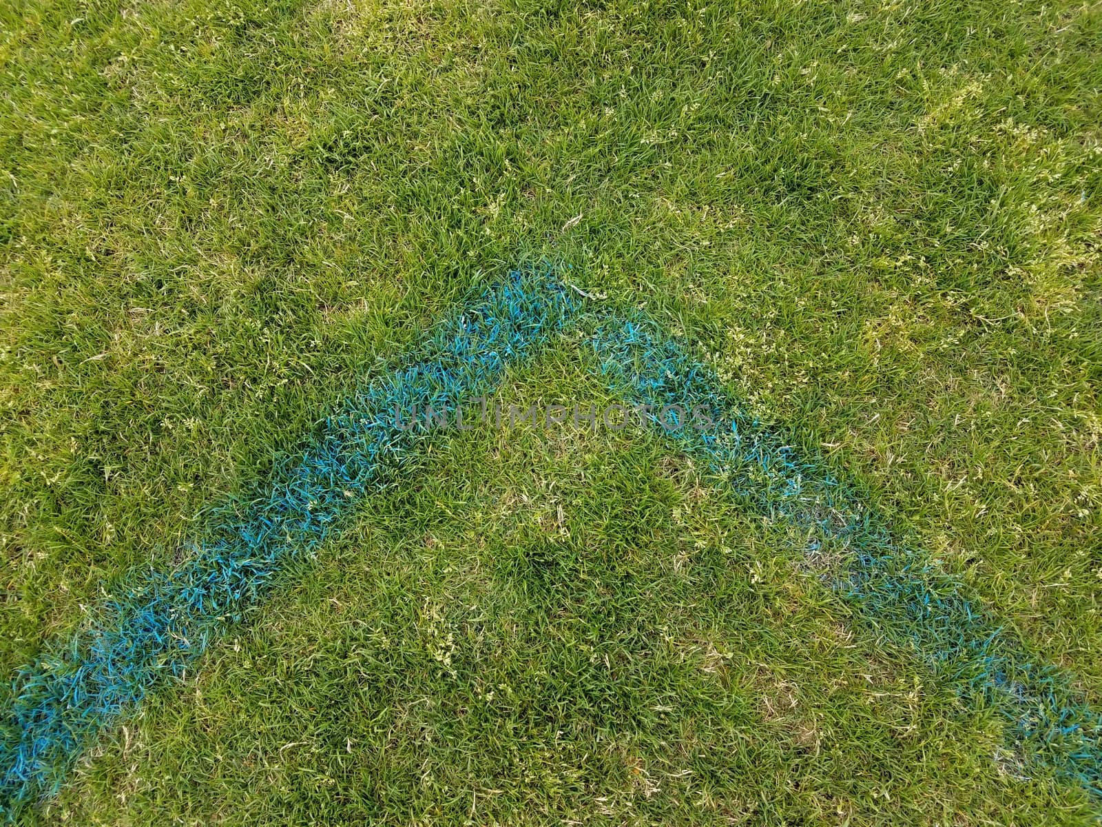 painted blue lines on green grass or lawn by stockphotofan1