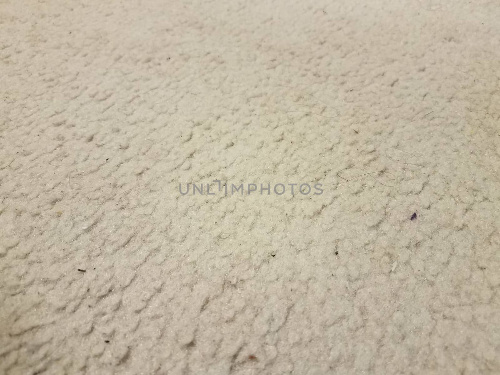 dirty white or grey carpet or rug with hairs by stockphotofan1