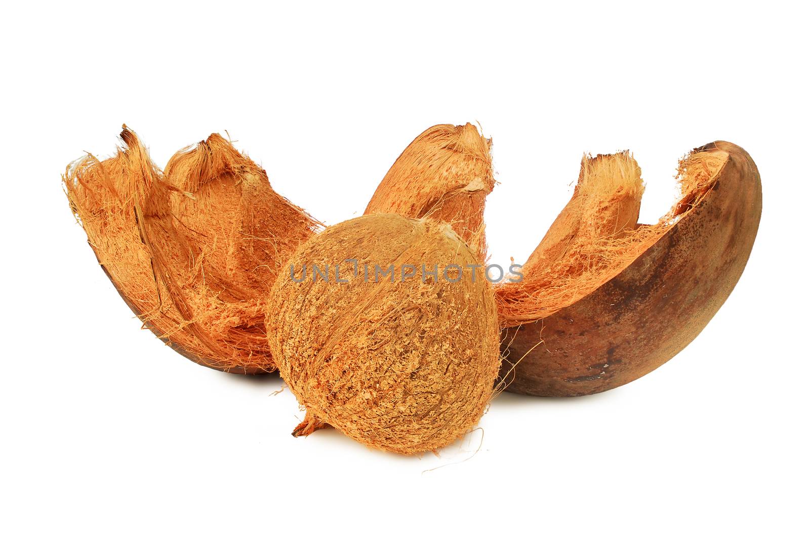 Dried coconut on white background.