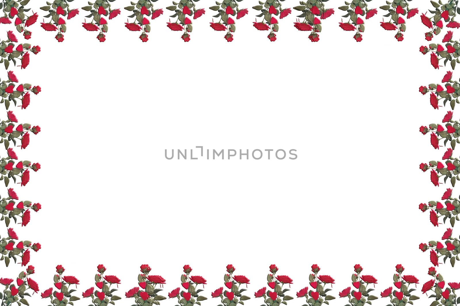 Postcard / Congratulation Card with Red Rose Frame. Leaf frame of red roses. Isolated on white