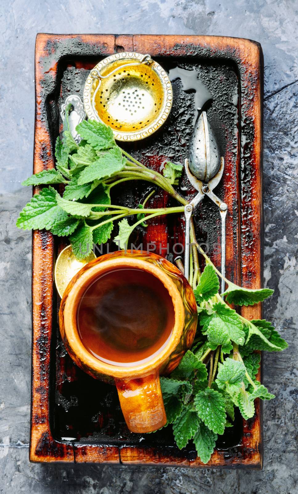 Green melissa herbal tea.Cup of herbal tea