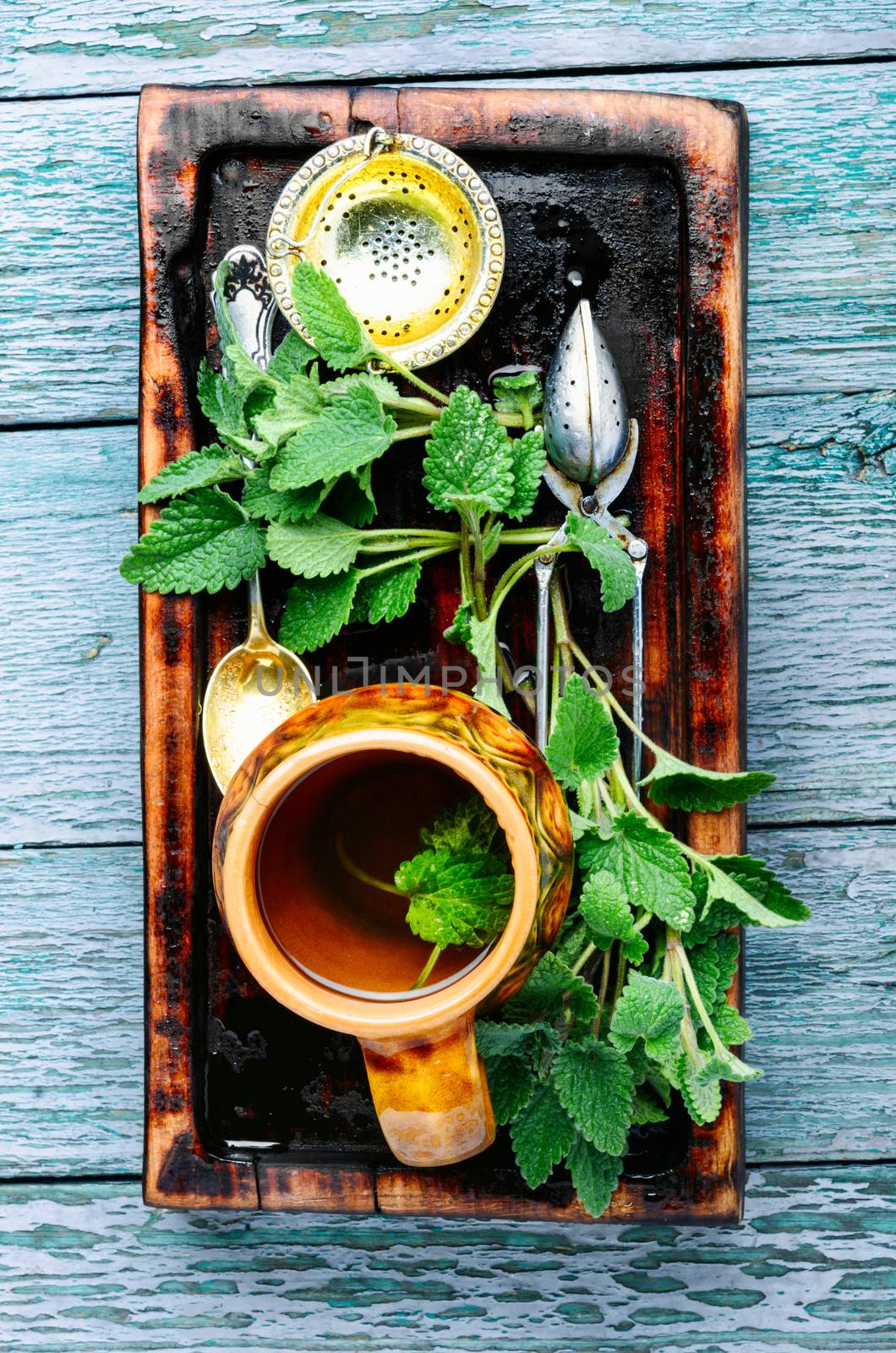 Natural melissa herbal tea.Green melissa herbal tea in cup