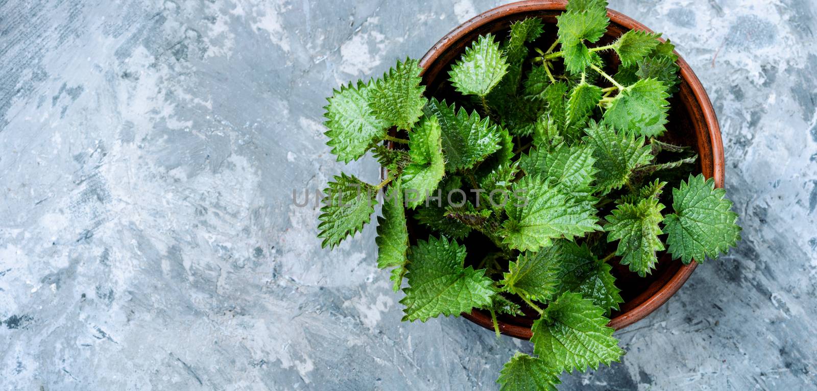 Fresh stinging nettle leaves.Bowls with fresh nettle leaves