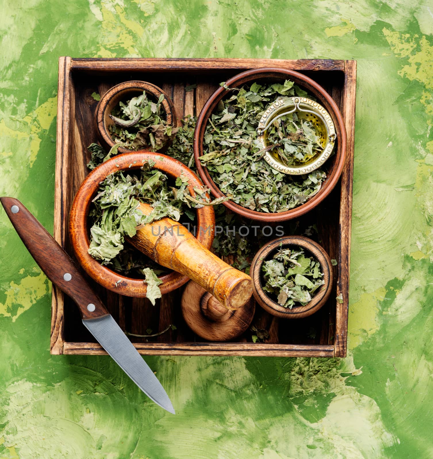 Herbal alternative medicine.Dry leaves of coltsfoot.Dried coltsfoot.