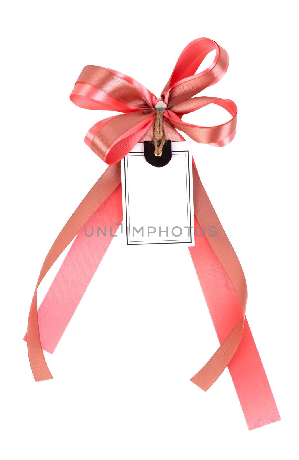 ribbon bow with label tag by anankkml