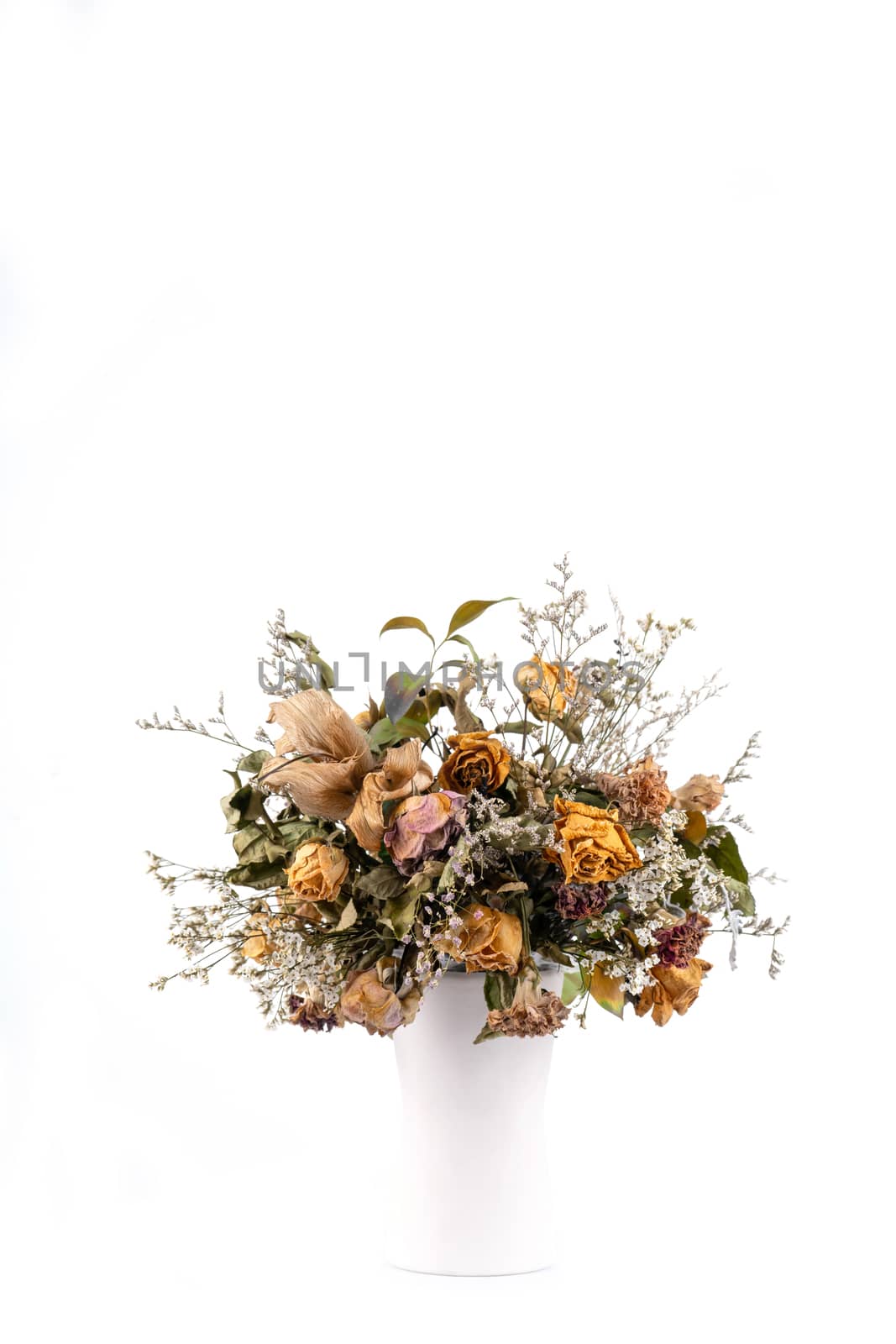 dried flowers in vase on white background