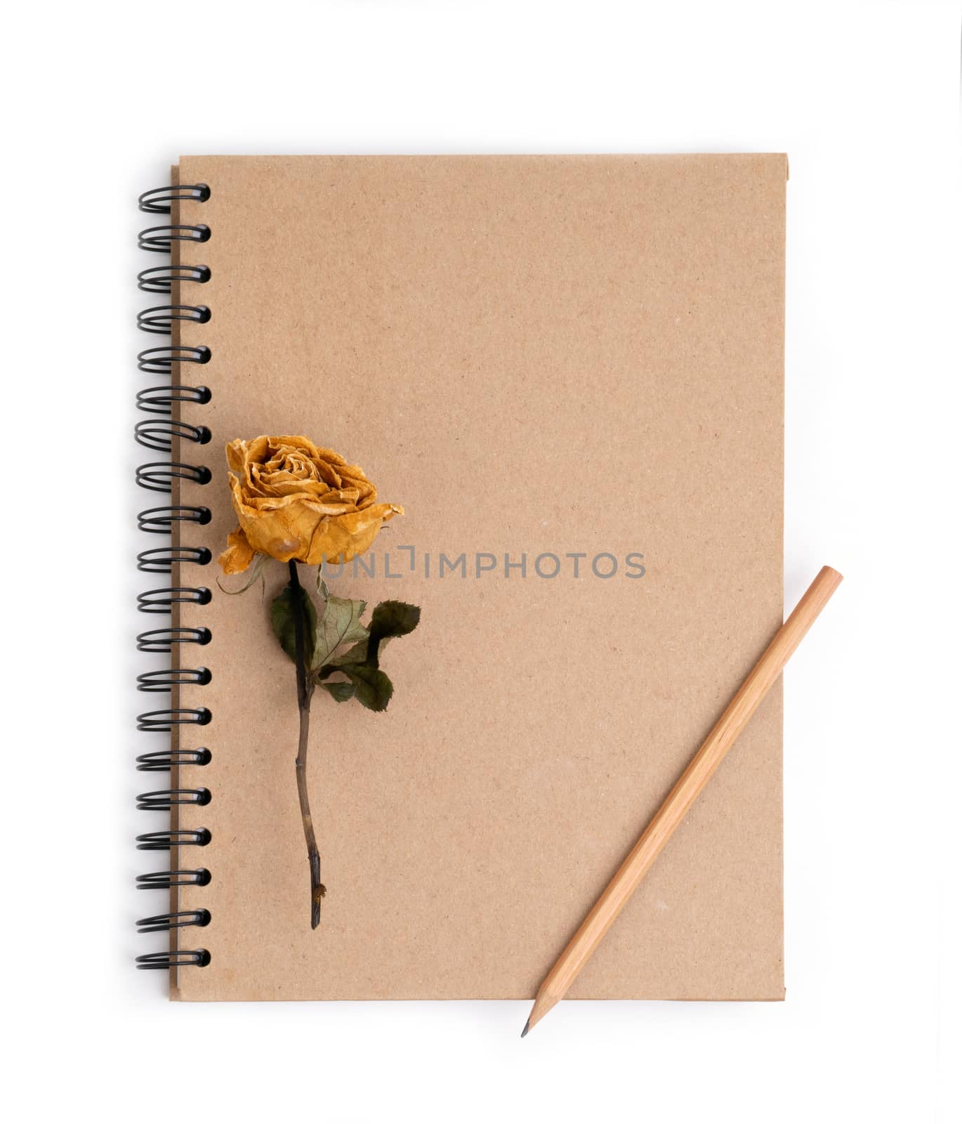 dried rose flower with pencil on notebook by anankkml