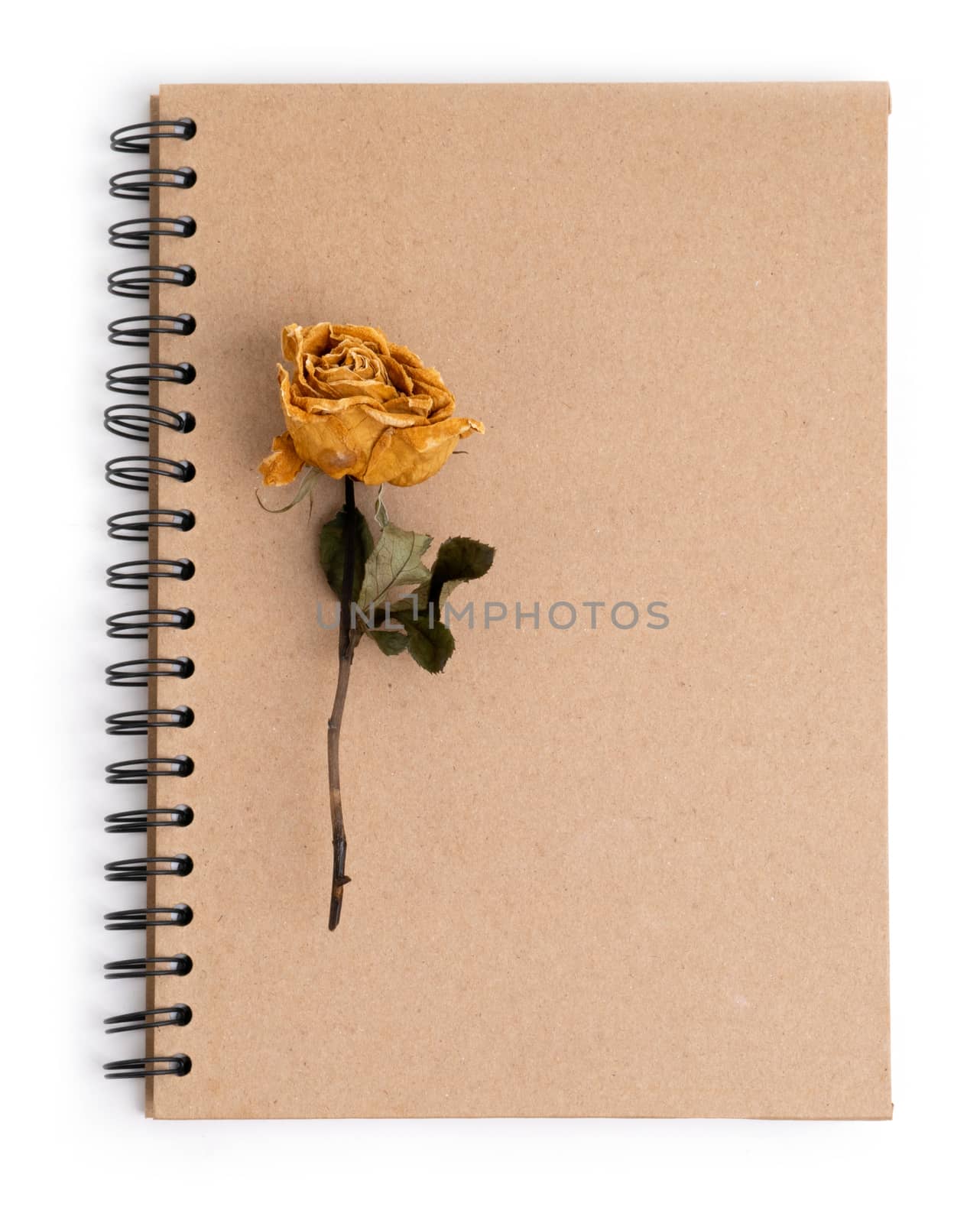 dried rose flower with pencil on notebook by anankkml