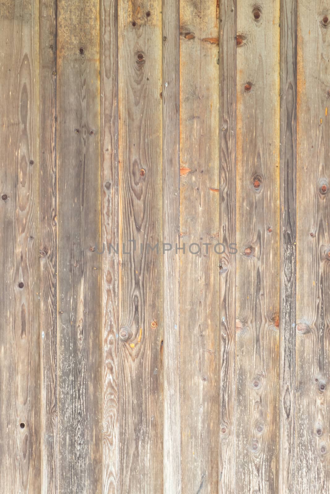 Background texture of wood, natural pattern