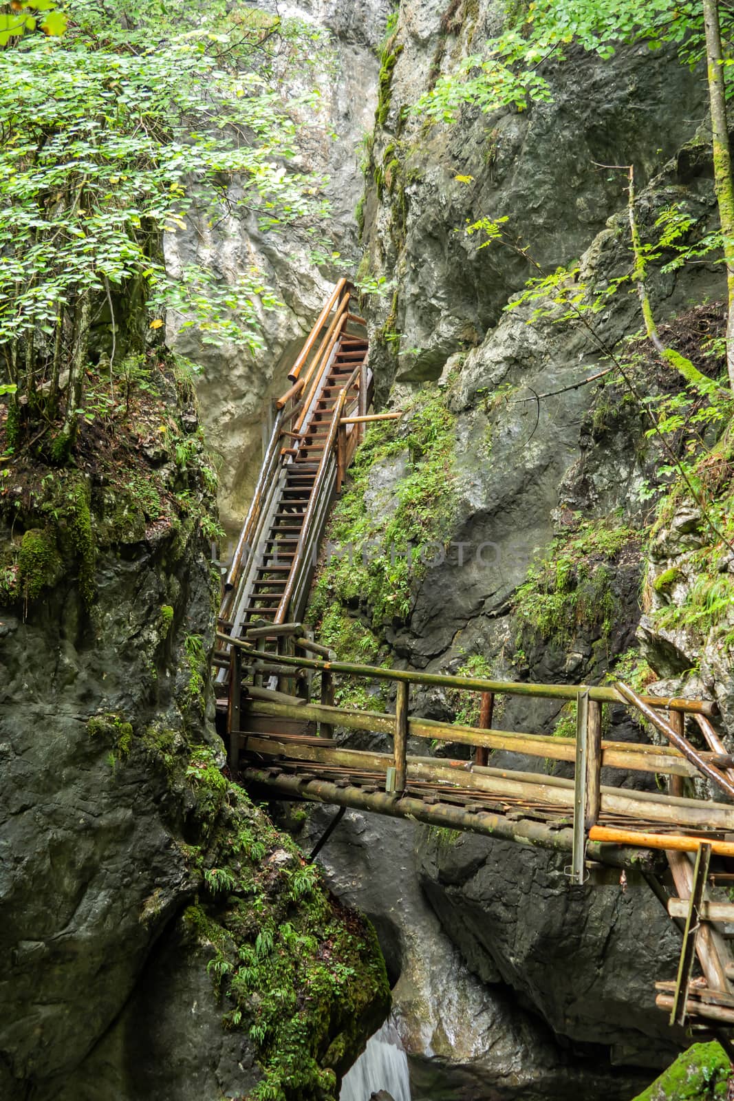 Wooden stairs through a water gorge in Austria