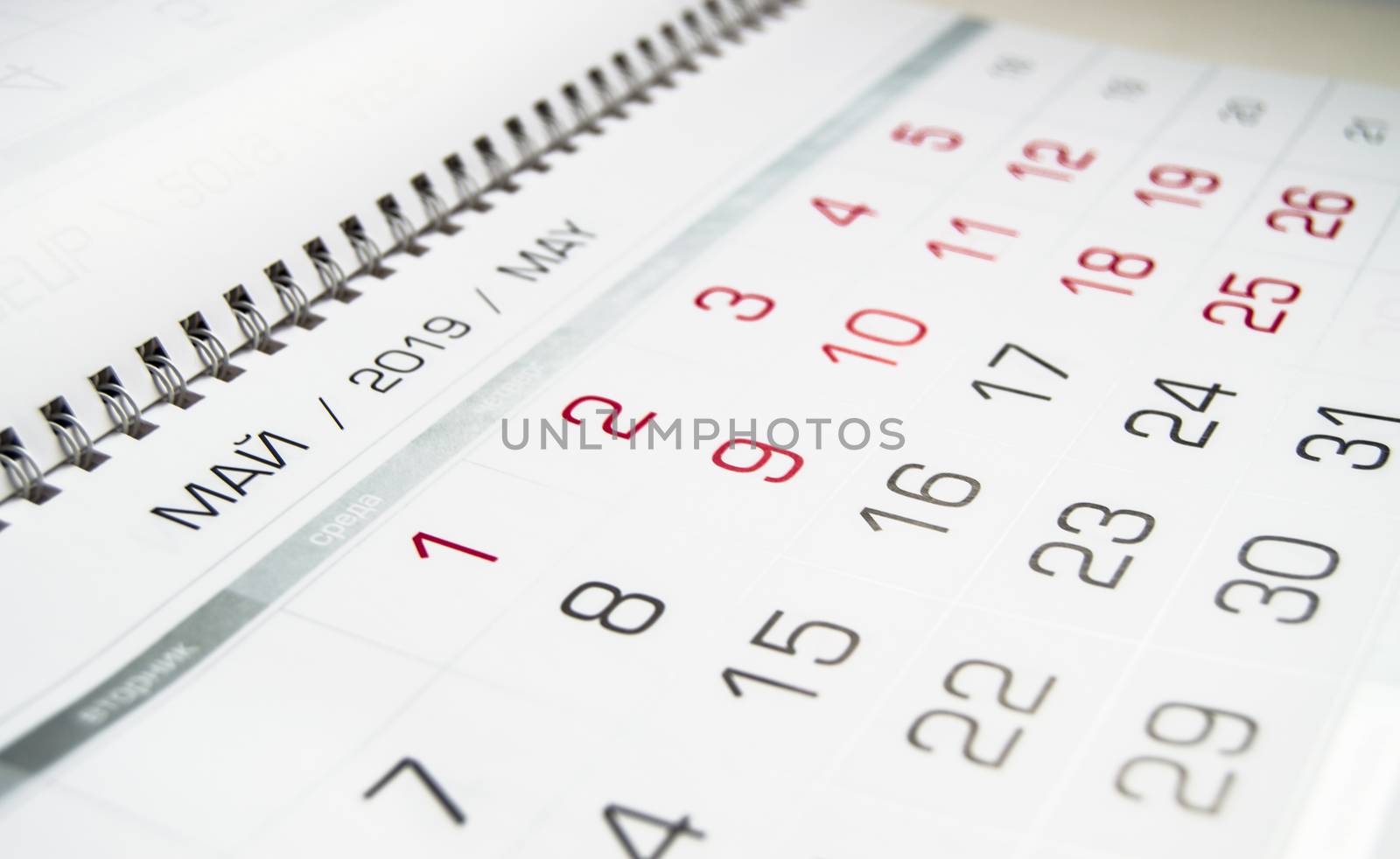 Calendar for may 2019, close-up, schedule of days with working days and holidays by claire_lucia