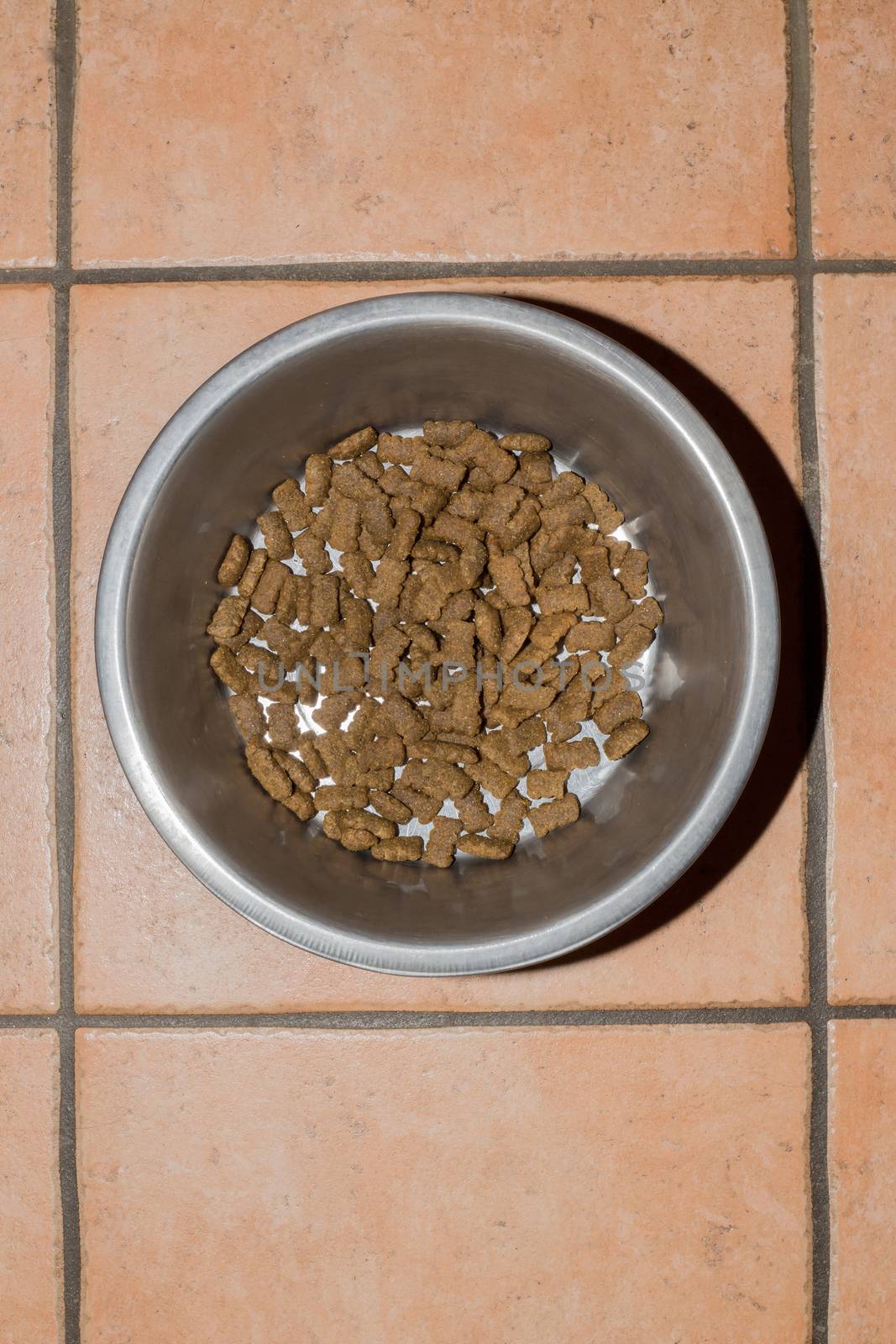 Bowl made of stainless steel with dog food