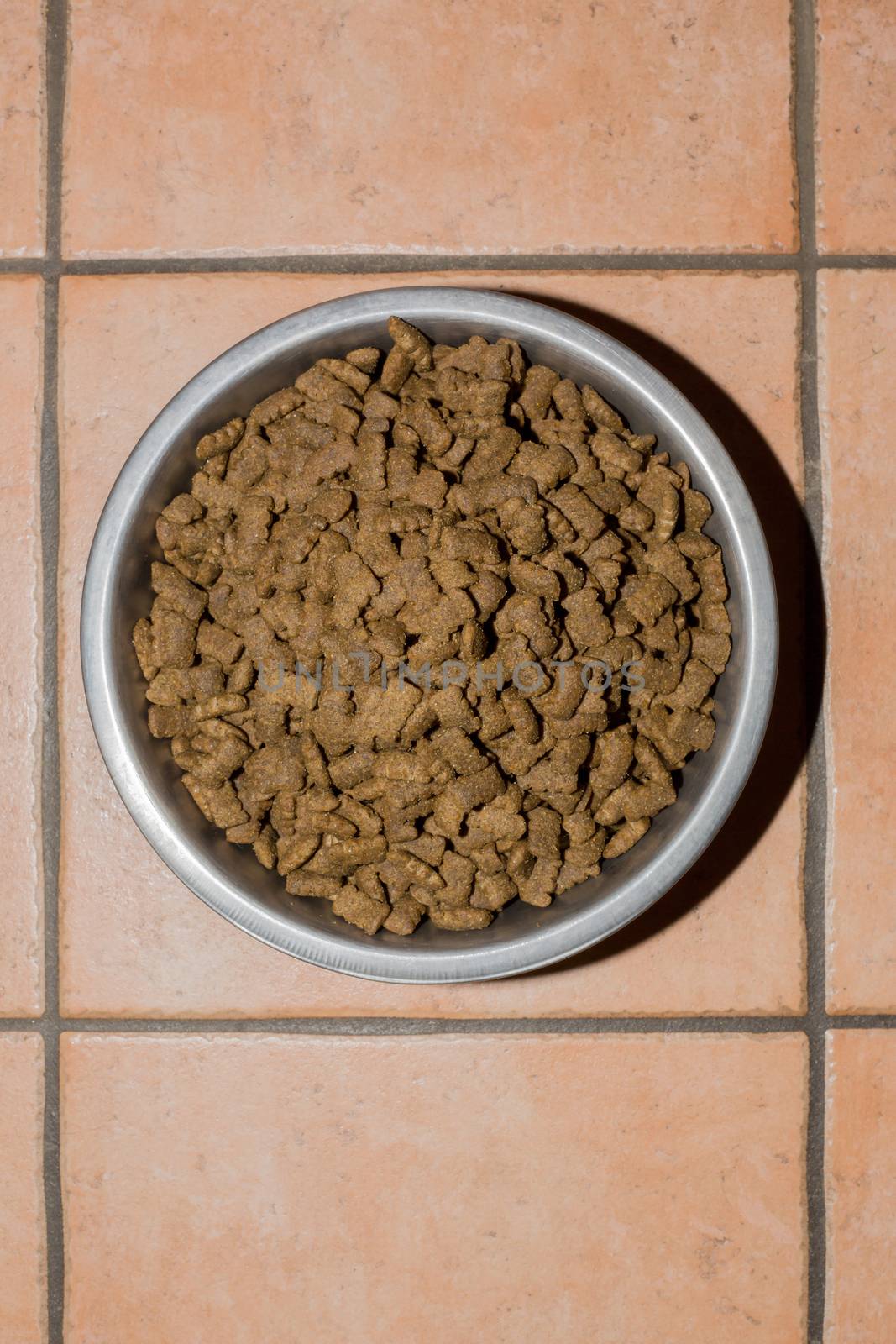 Bowl made of stainless steel with dog food by sandra_fotodesign