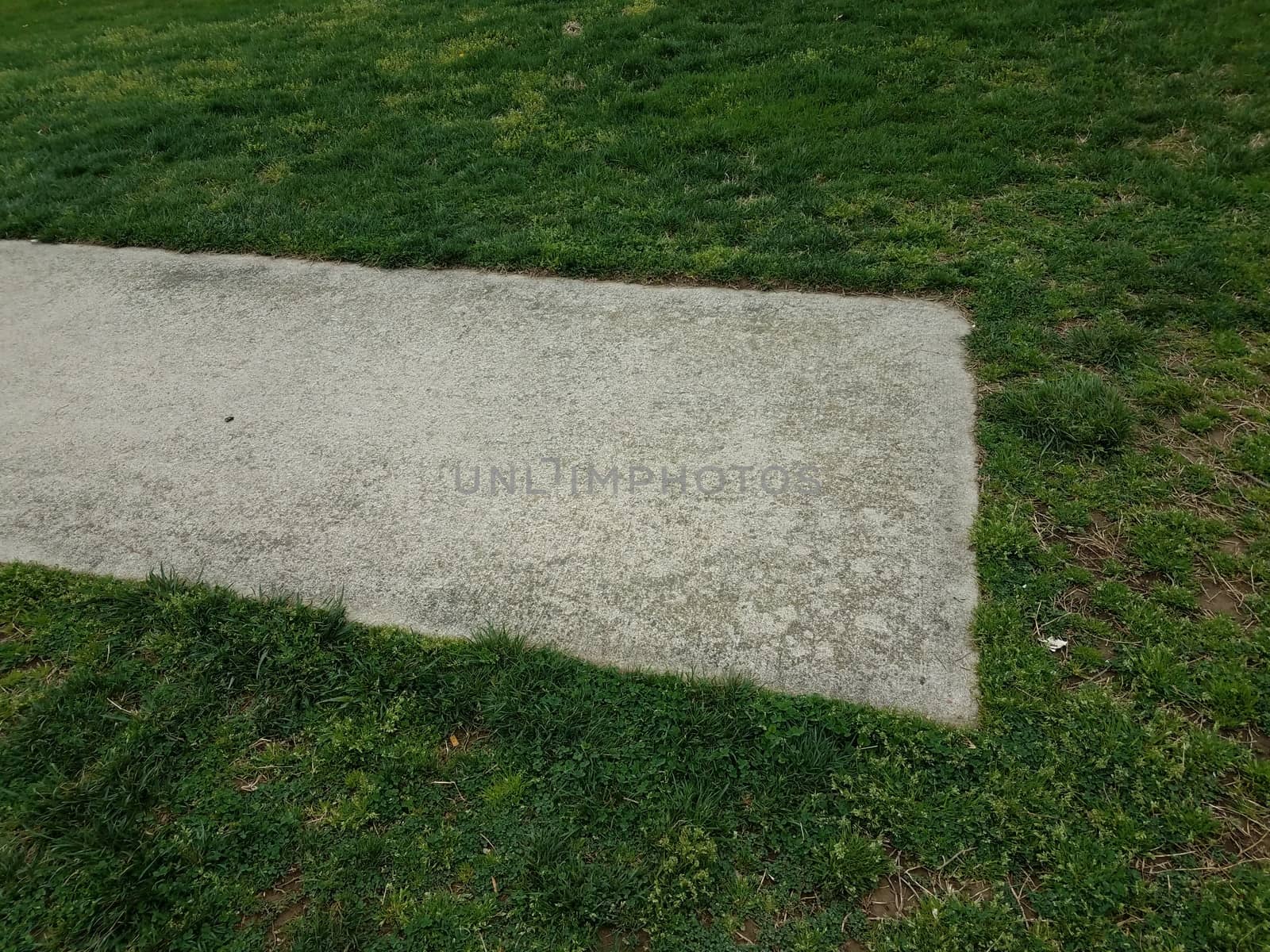 grey cement slab or sidewalk and green grass or lawn