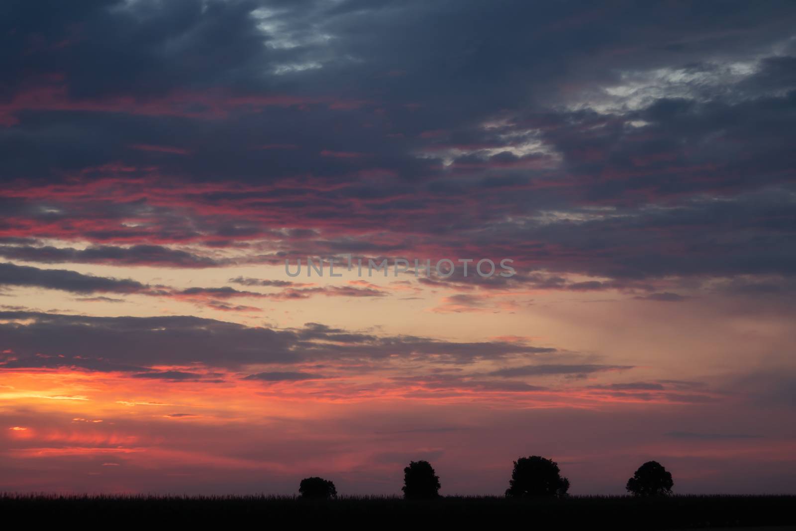 Romantic sunset with black silhouette in the foreground