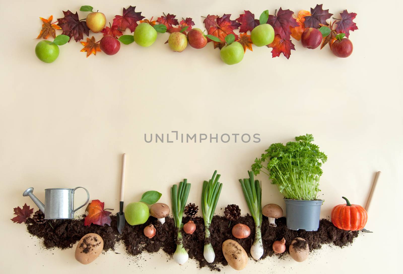 Autumn fruits and vegetables  by unikpix