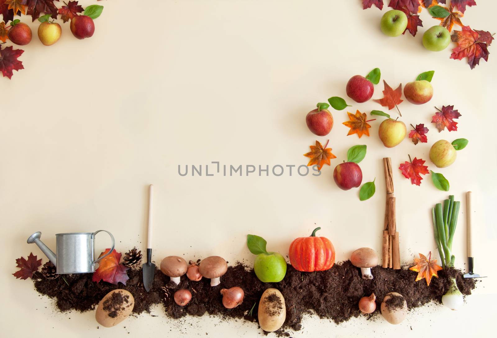 Autumn fruit and vegetable garden by unikpix