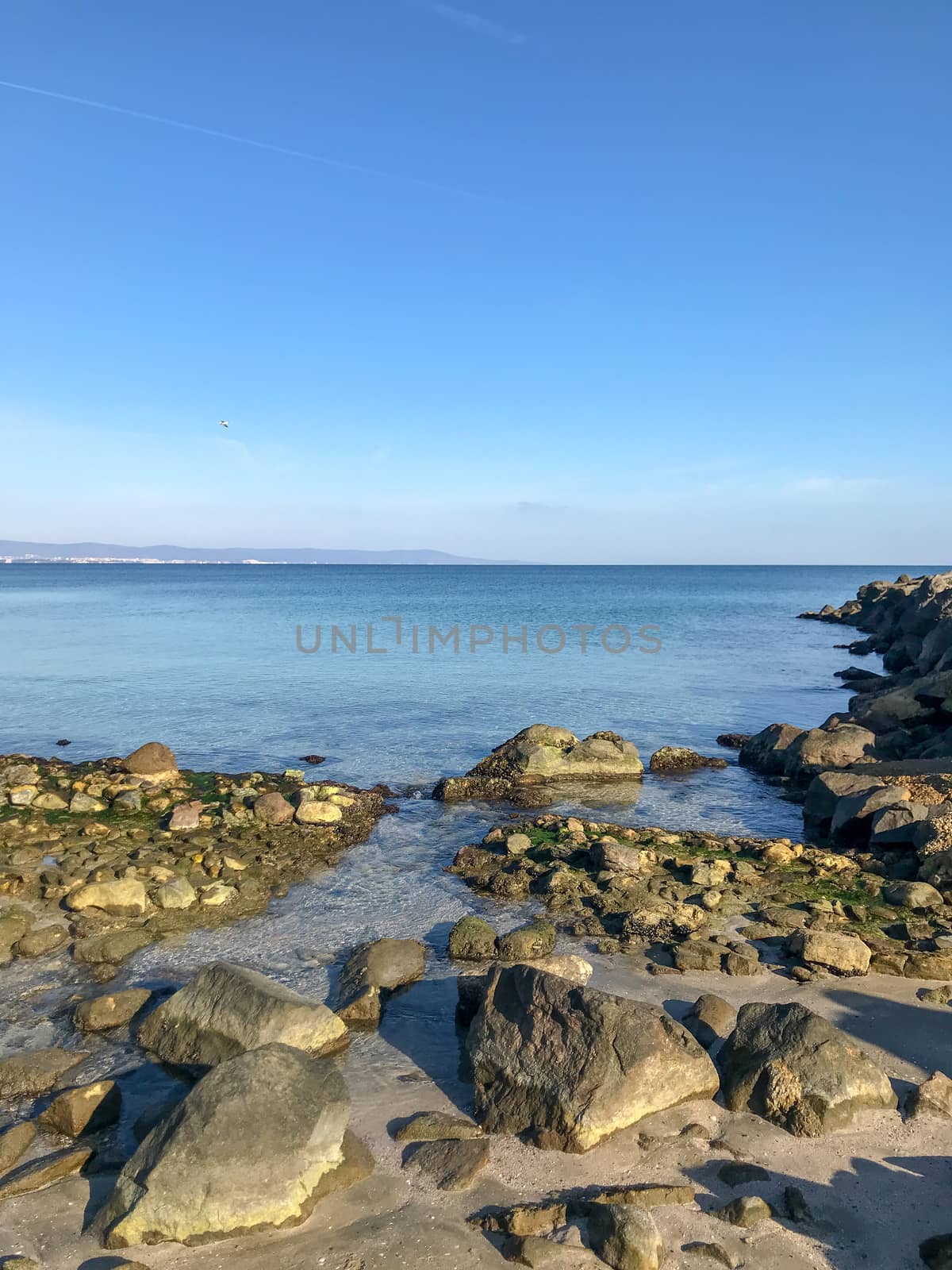 Scenic View Of Sea Against Clear Blue Sky and Sunlight