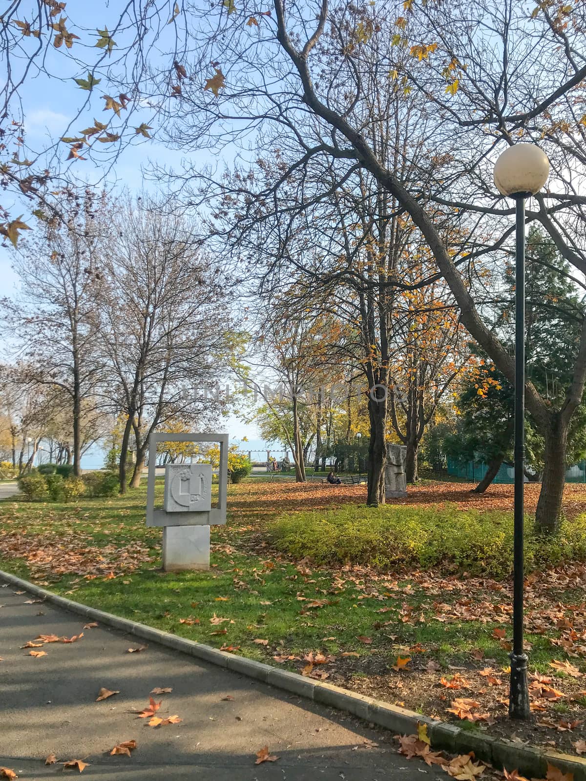 Autumn Walk In The Park by nenovbrothers