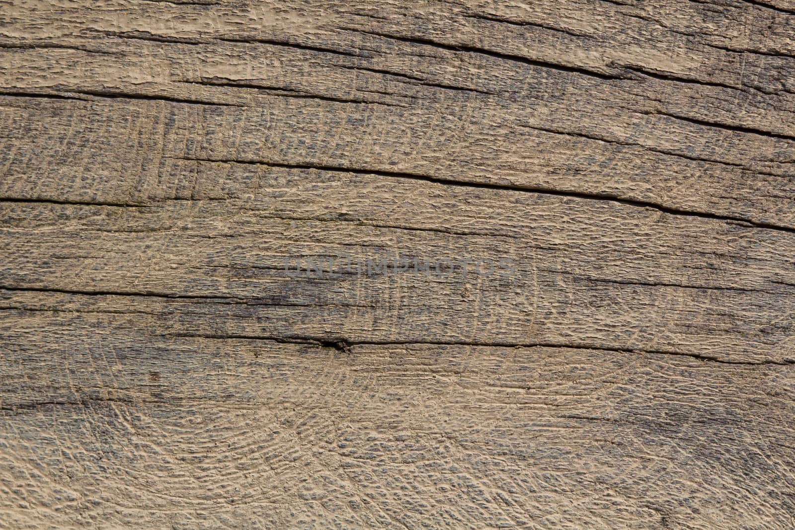 A texture of wood, also suitable as a background by sandra_fotodesign