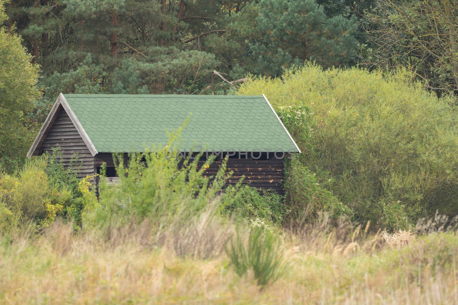 Small wooden hut in the middle of the wilderness