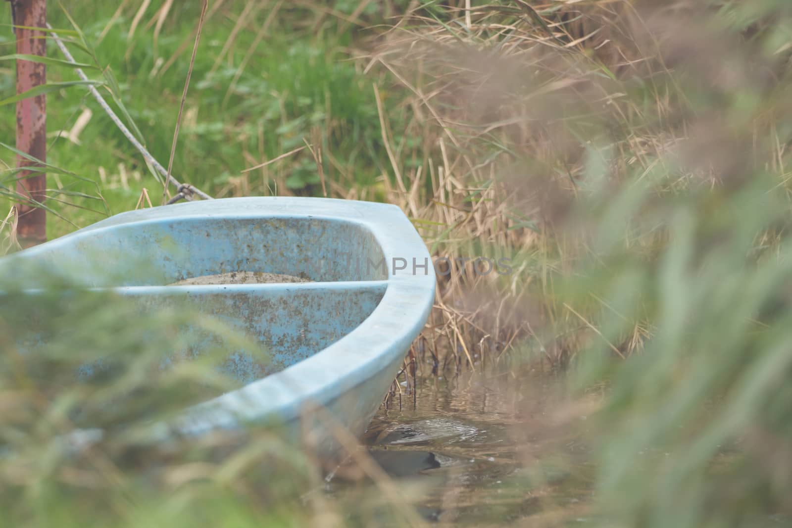 Close-up of a boat hidden in the tall grass