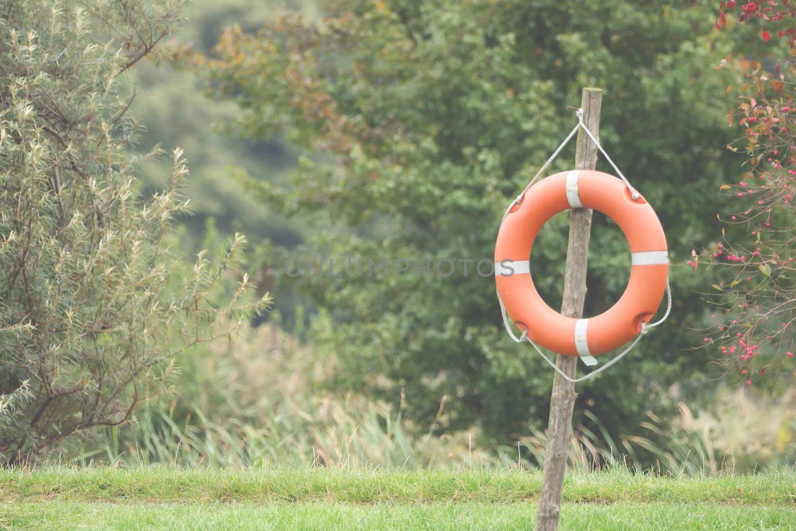 A lifebuoy hangs on the wood by sandra_fotodesign