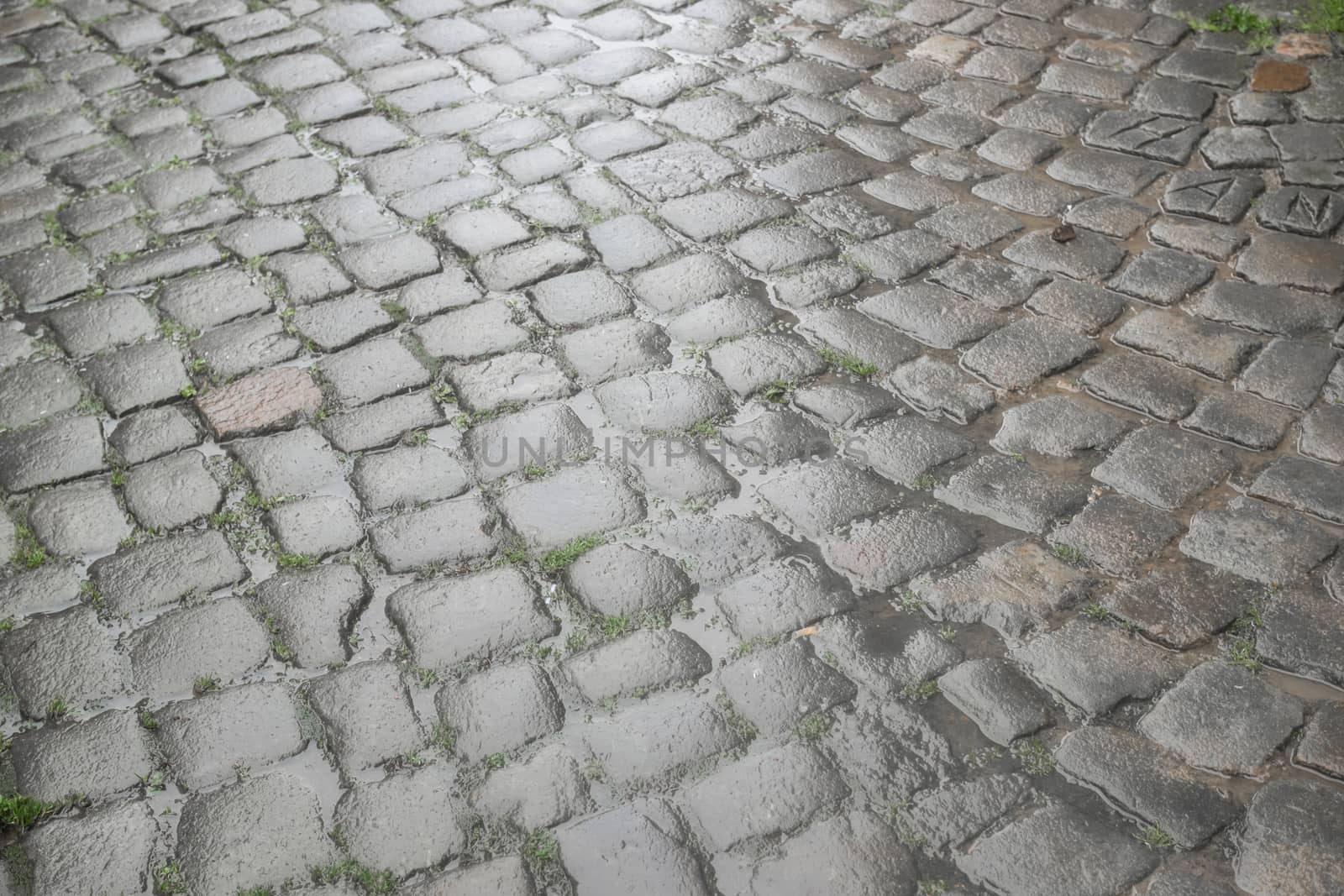 Floor of paving stones wet from the rain