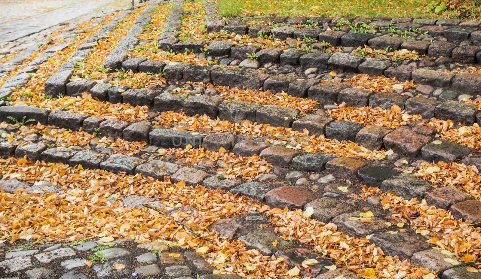 A staircase of stone with many autumn leaves
