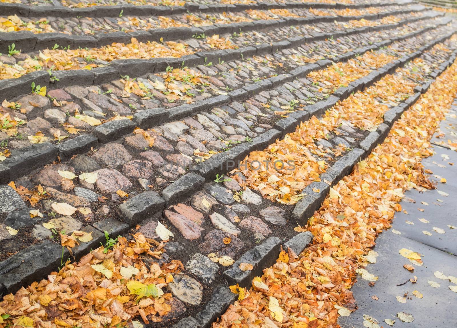 A staircase of stone with many autumn leaves