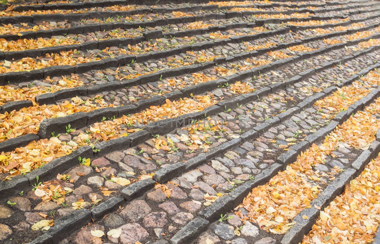 A staircase of stone with many autumn leaves by sandra_fotodesign