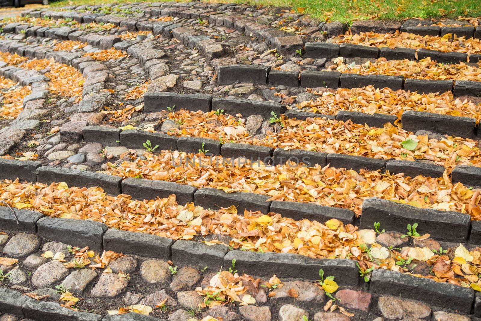 A staircase of stone with many autumn leaves