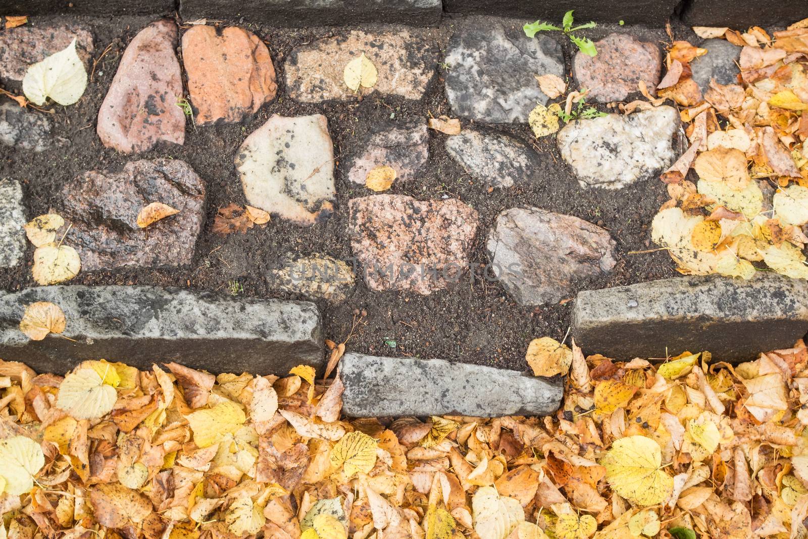 A staircase of stone with many autumn leaves