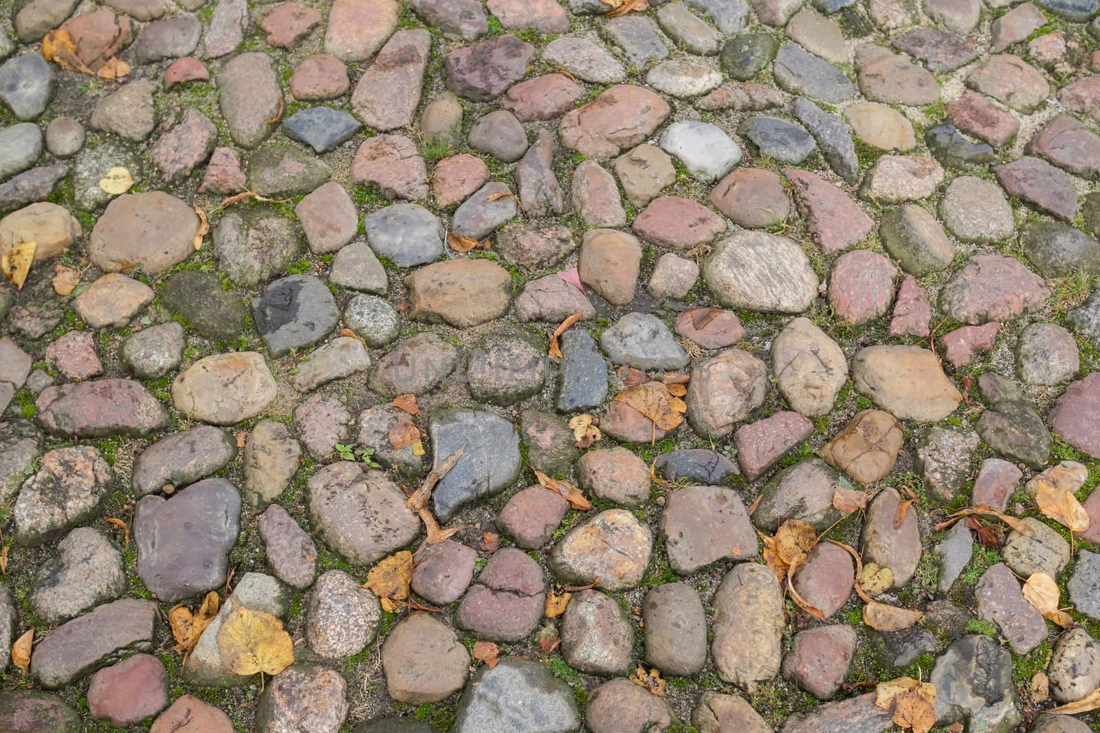 Floor of paving stones wet from the rain by sandra_fotodesign