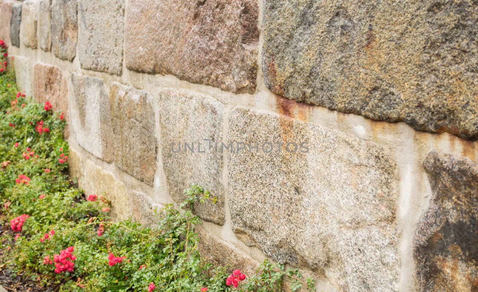 Wall of stone with flowers