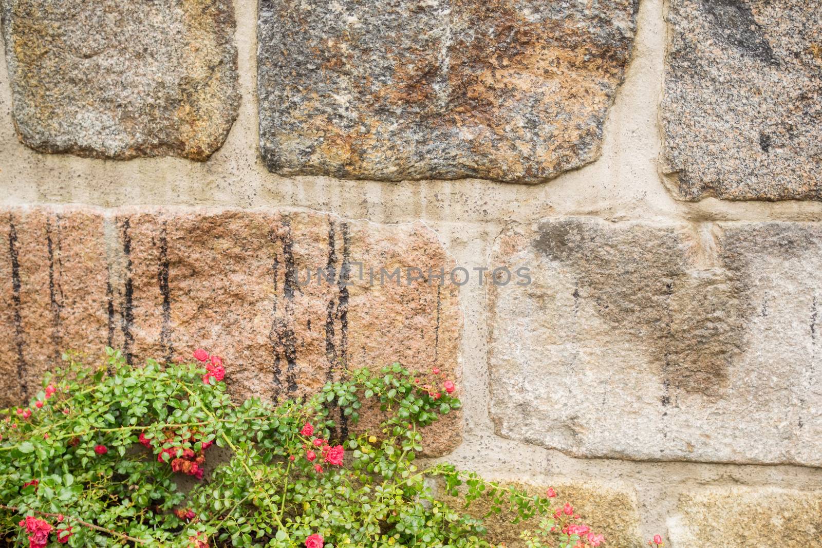 Wall of stone with flowers