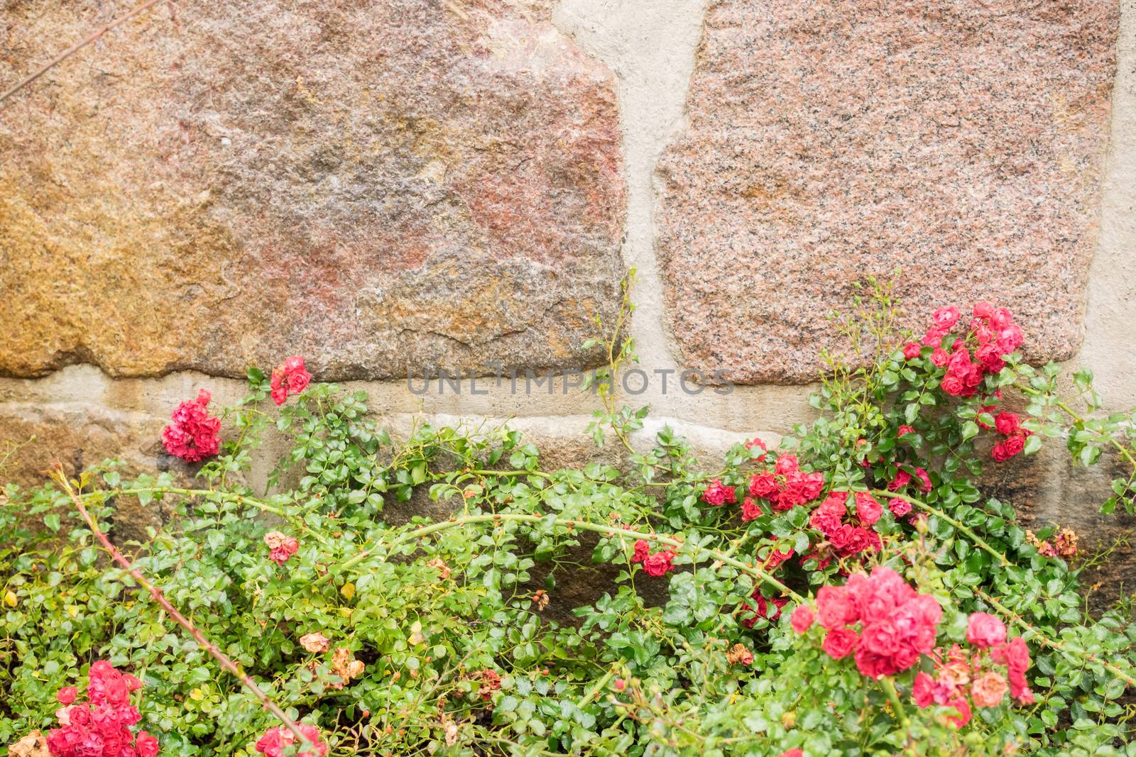 Wall of stone with flowers