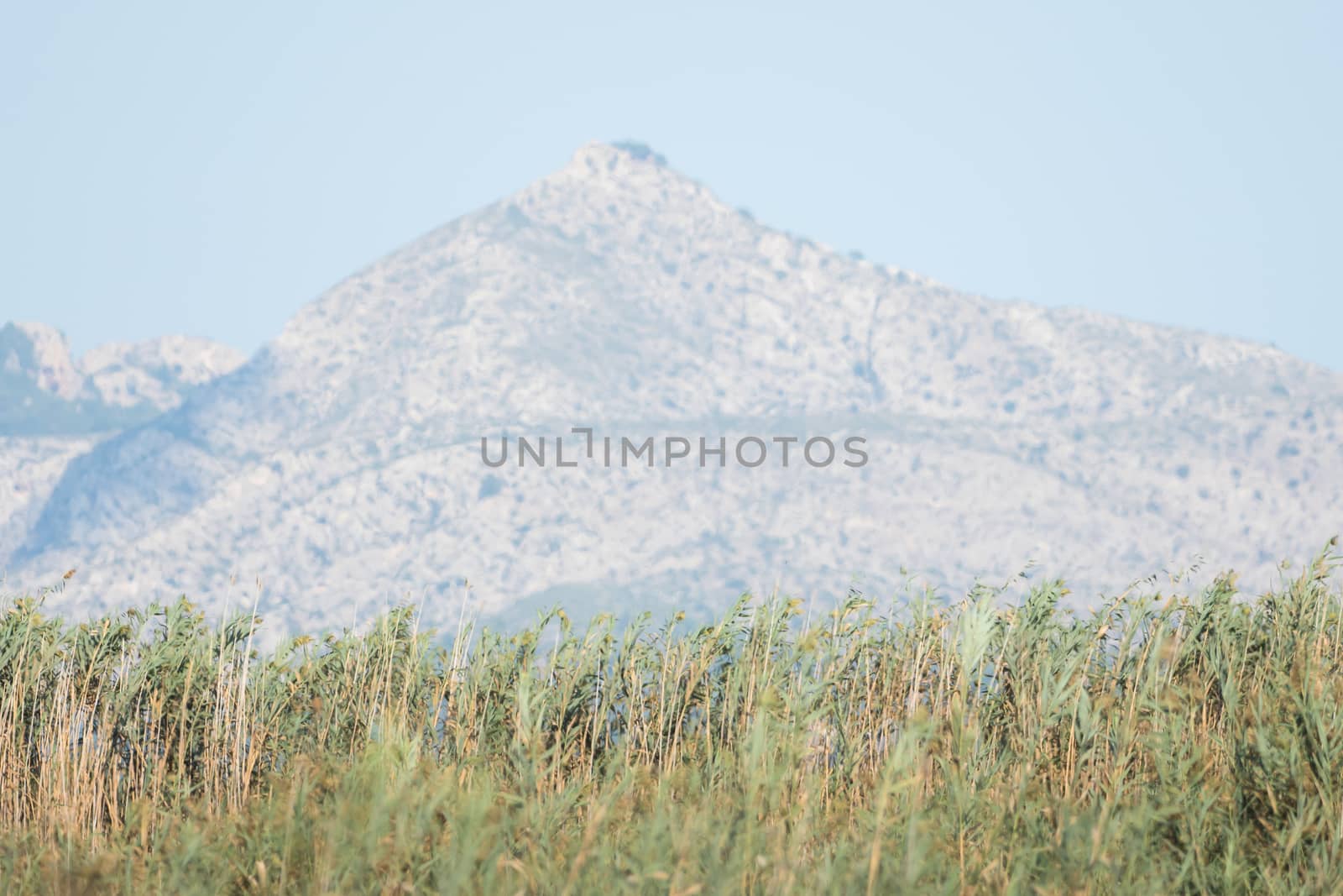 Grass in the foreground, sky and mountains in the background by sandra_fotodesign