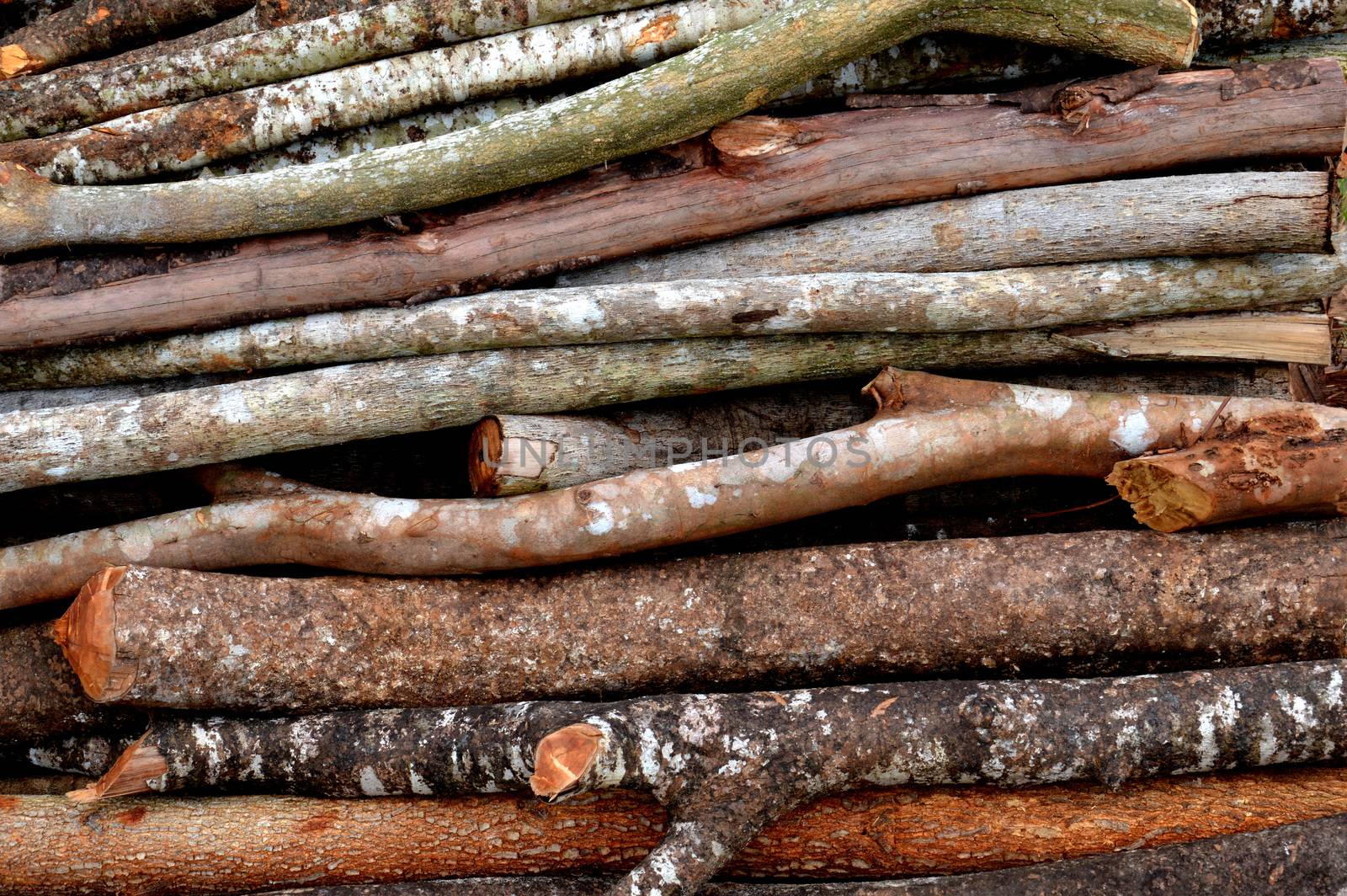 stacks of logs background