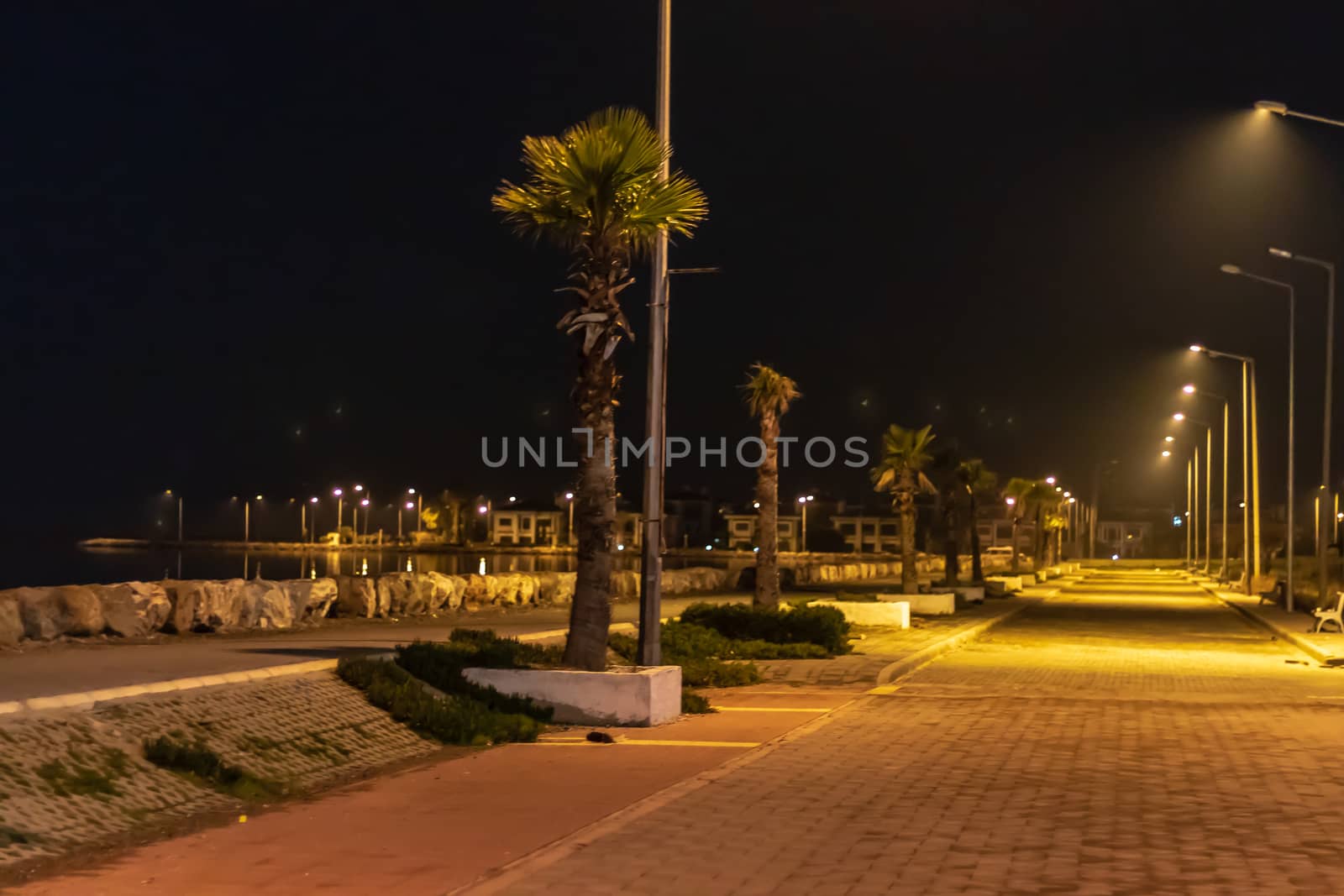 a wide view night shoot from coastal road - palm trees and city lights. photo has taken at izmir/turkey.